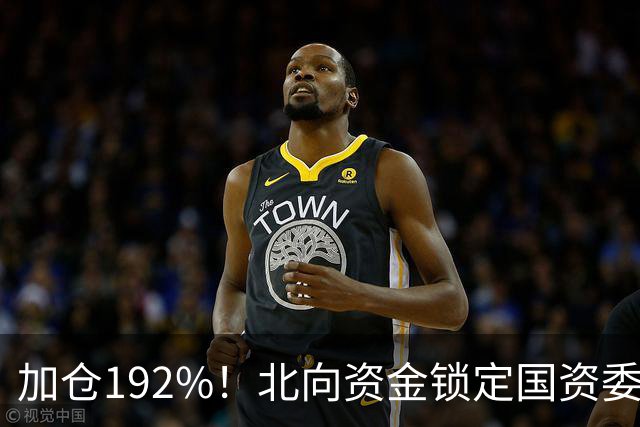 加仓192%！北向资金锁定国资委长子，芯片+氢能+低空经济