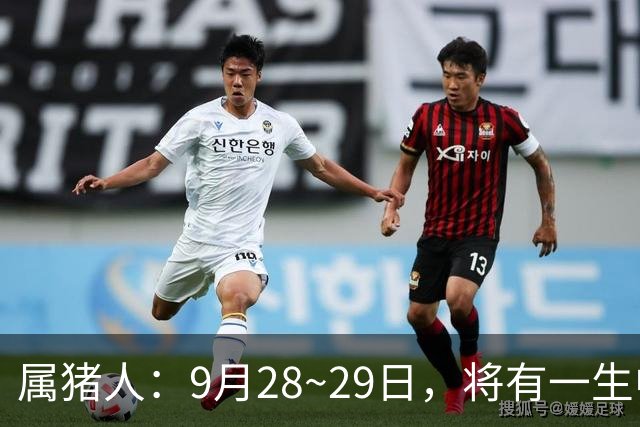 属猪人：9月28~29日，将有一生中最大的“横财” 不是玄学，要小心