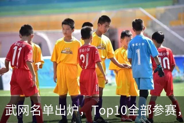 武网名单出炉，Top10全部参赛，王欣瑜第40位直通正赛，郑钦文排在替补第7位