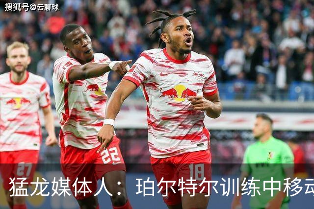 猛龙媒体人：珀尔特尔训练中移动状态很好 猛龙只需要个正常的他