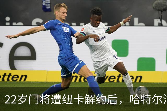 22岁门将遭纽卡解约后，哈特尔浦给了他首发机会